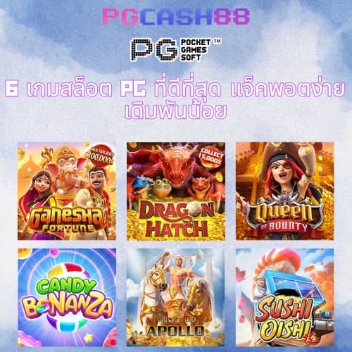 cat888หวยvip
